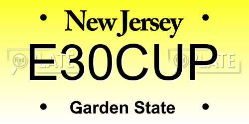 E30CUP New Jersey License Plate