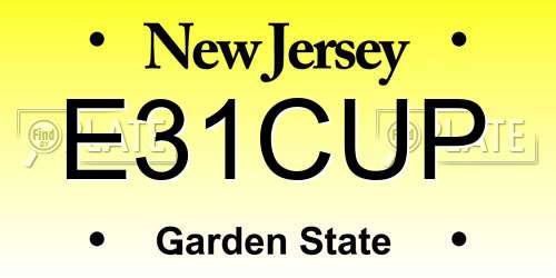 E31CUP New Jersey License Plate