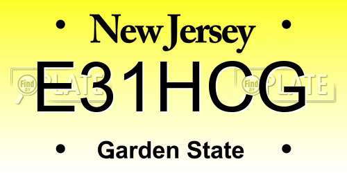 E31HCG New Jersey License Plate