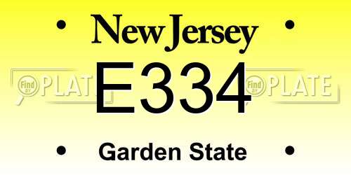 E334 New Jersey License Plate