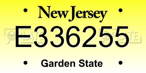 E336255 New Jersey License Plate