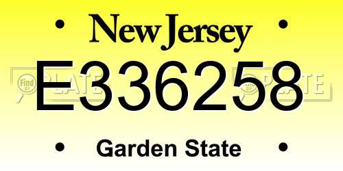 E336258 New Jersey License Plate