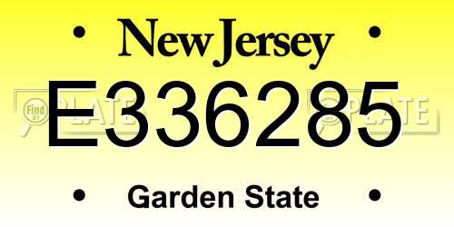 E336285 New Jersey License Plate