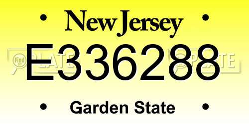 E336288 New Jersey License Plate