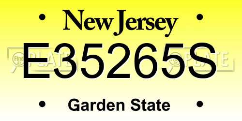 E35265S New Jersey License Plate