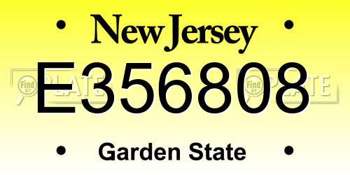 E356808 New Jersey License Plate
