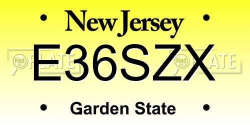 E36SZX New Jersey License Plate