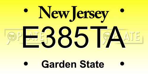 E385TA New Jersey License Plate