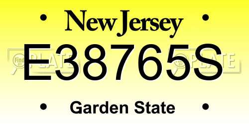 E38765S New Jersey License Plate