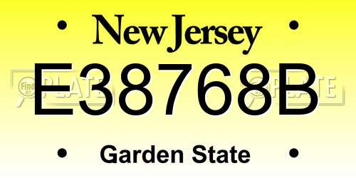 E38768B New Jersey License Plate