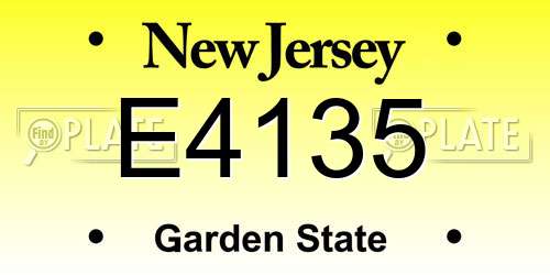 E4135 New Jersey License Plate