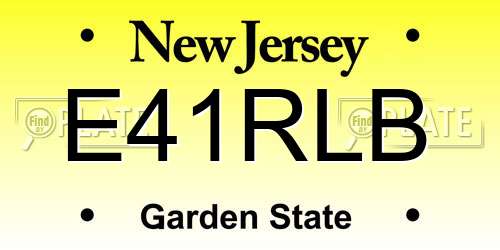 E41RLB New Jersey License Plate