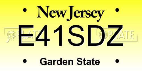 E41SDZ New Jersey License Plate