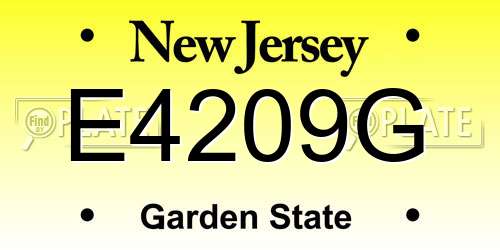 E4209G New Jersey License Plate