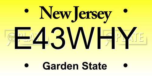 E43WHY New Jersey License Plate