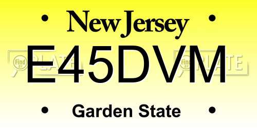 E45DVM New Jersey License Plate