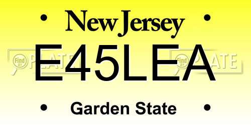 E45LEA New Jersey License Plate