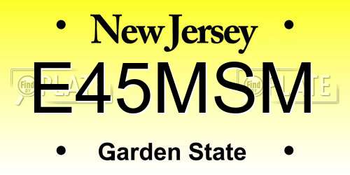 E45MSM New Jersey License Plate