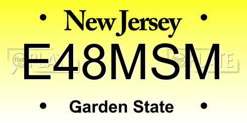 E48MSM New Jersey License Plate