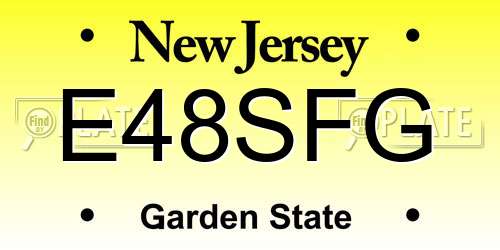 E48SFG New Jersey License Plate