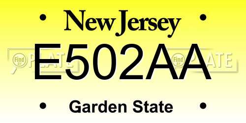E502AA New Jersey License Plate