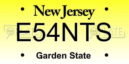 E54NTS New Jersey License Plate