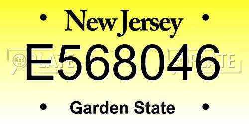 E568046 New Jersey License Plate
