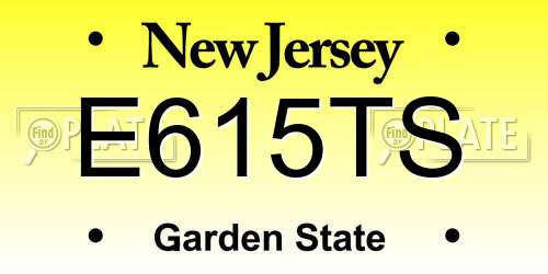 E615TS New Jersey License Plate