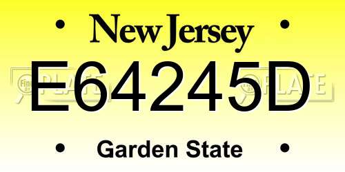 E64245D New Jersey License Plate