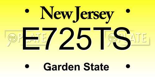 E725TS New Jersey License Plate