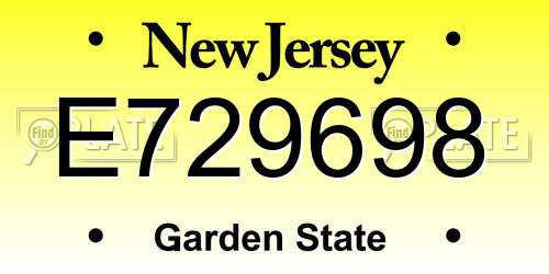 E729698 New Jersey License Plate