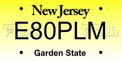 E80PLM New Jersey License Plate