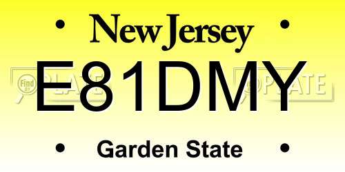 E81DMY New Jersey License Plate