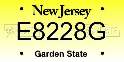 E8228G New Jersey License Plate