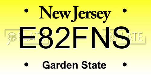 E82FNS New Jersey License Plate