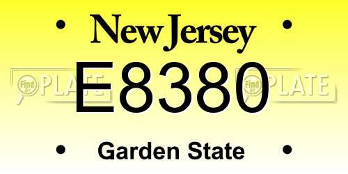 E8380 New Jersey License Plate