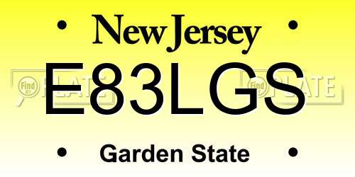 E83LGS New Jersey License Plate