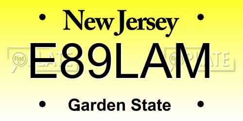 E89LAM New Jersey License Plate