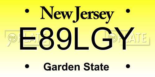 E89LGY New Jersey License Plate