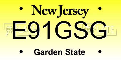 E91GSG New Jersey License Plate