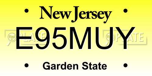 E95MUY New Jersey License Plate