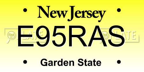 E95RAS New Jersey License Plate