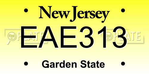 EAE313 New Jersey License Plate