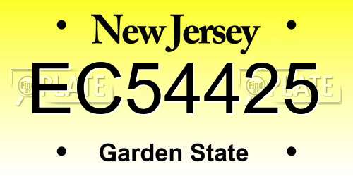 EC54425 New Jersey License Plate