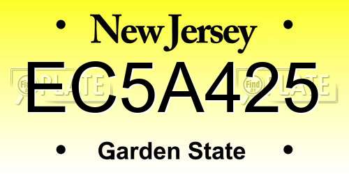 EC5A425 New Jersey License Plate