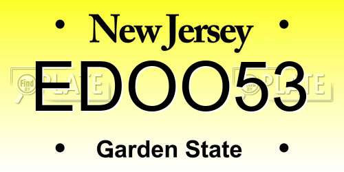 EDOO53 New Jersey License Plate