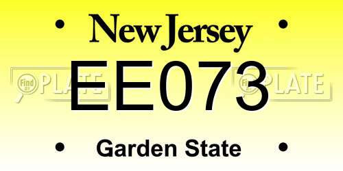 EE073 New Jersey License Plate