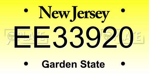 EE33920 New Jersey License Plate