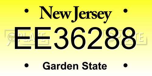 EE36288 New Jersey License Plate