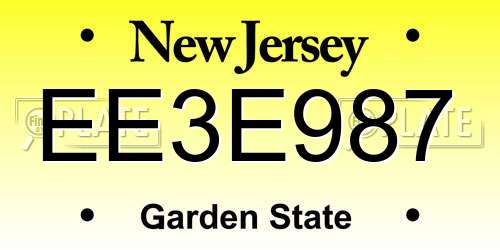 EE3E987 New Jersey License Plate